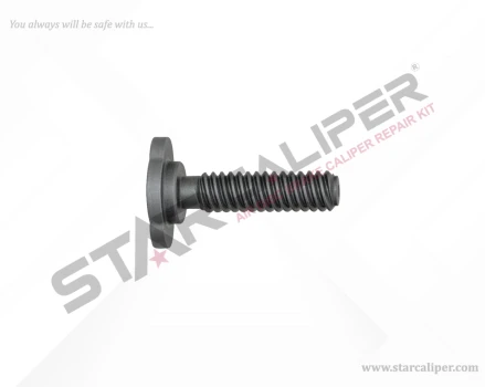 Adjusting Bolt