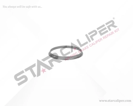 Cailper Adjusting Mechanism Seal