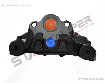 Caliper Body (B.V 22 - Brake Pad Number 4309 - Right) 