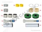 Caliper Guides, Seals & Tappet Repair Kit