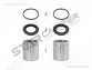 Caliper Piston & Seal Kit