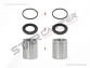 Caliper Piston & Seal Kit